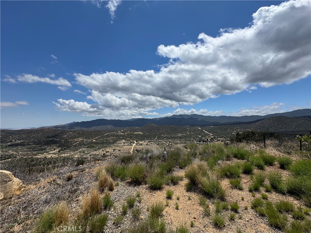 61225 High Country Trail Anza, CA 92539 - Photo 33 of 34 a view of a bunch of trees