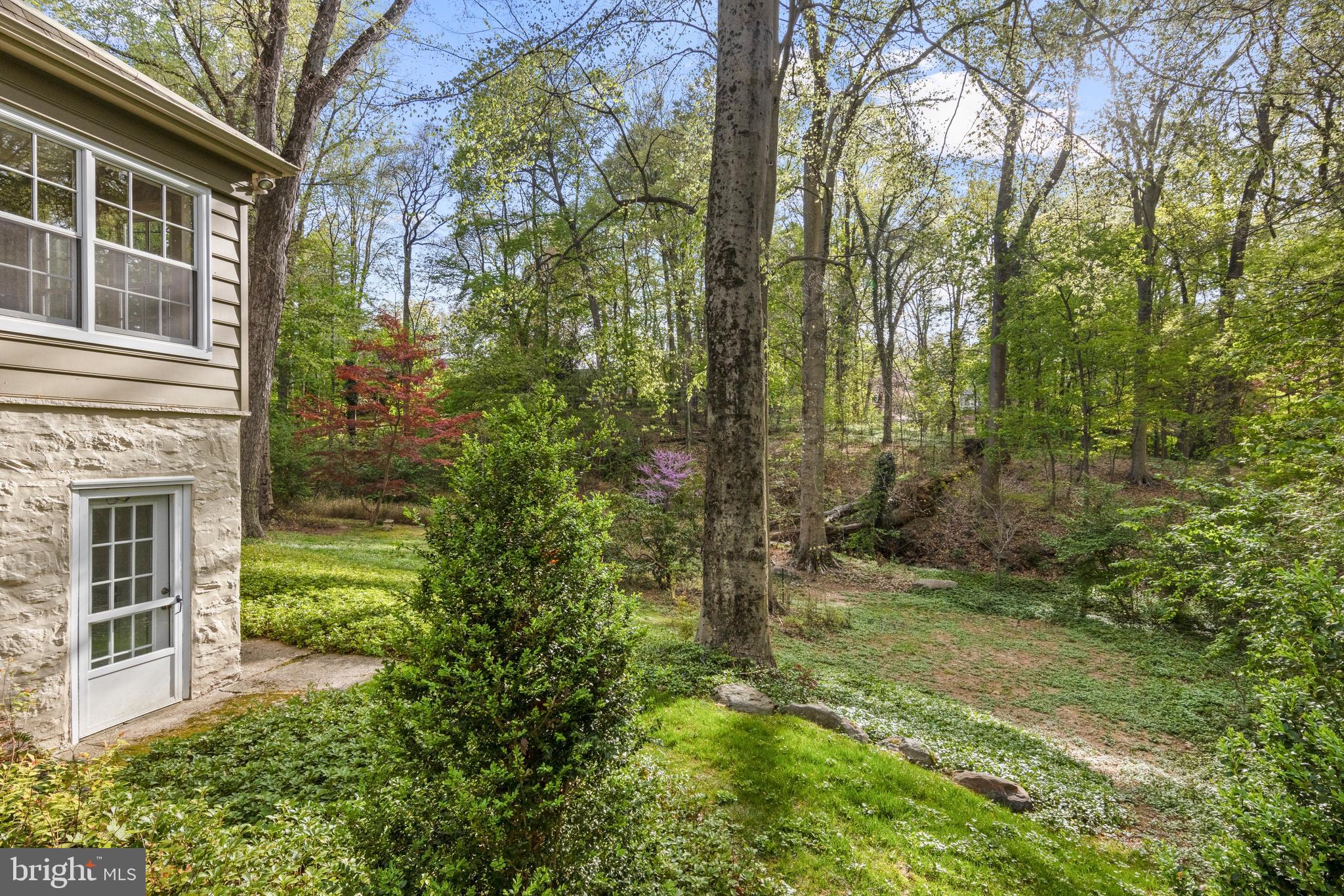126 Anton Road Wynnewood, PA 19096 - Photo 44 of 52 Serene views and level area for recreation