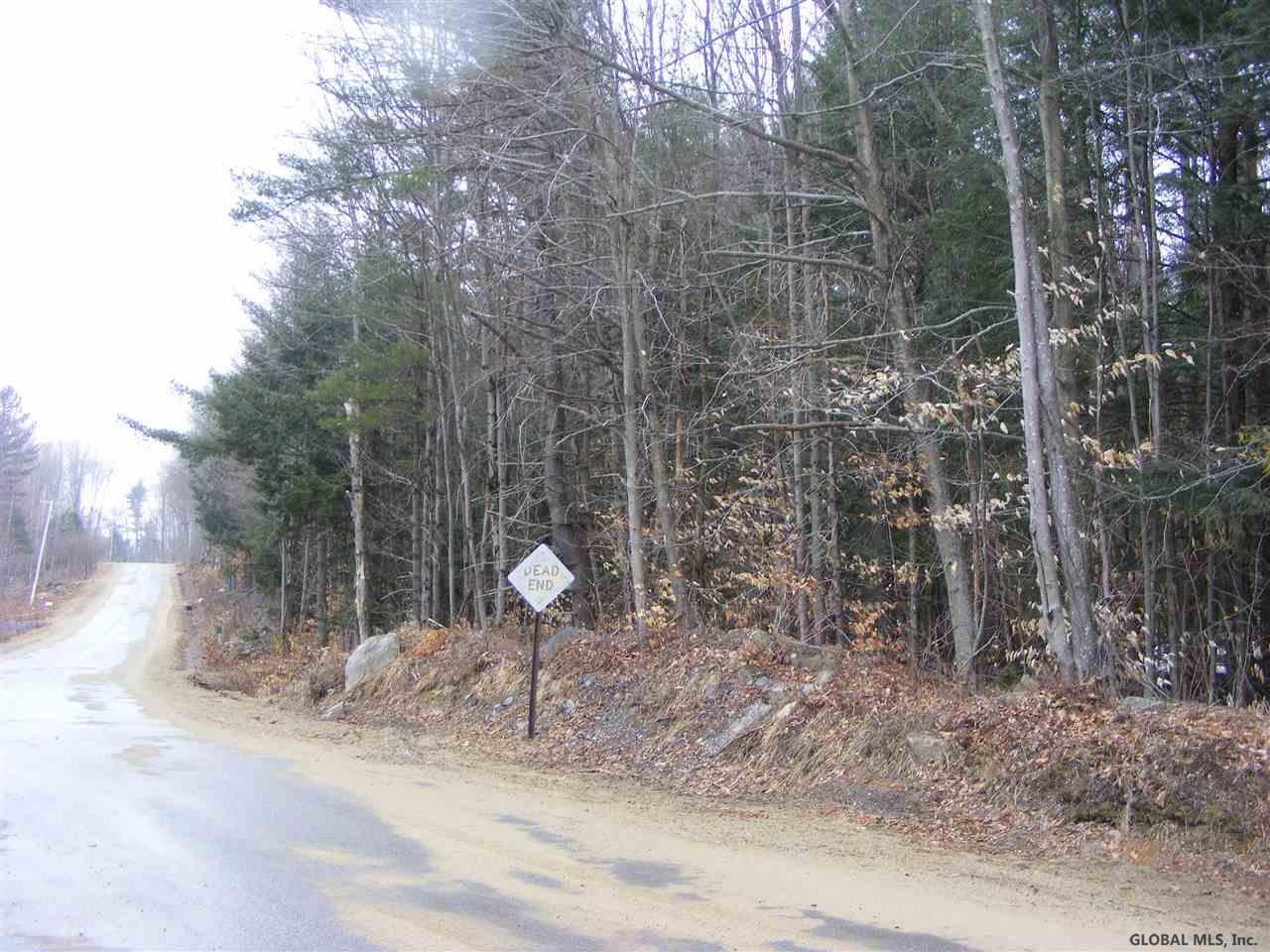 Lawrence Road Hadley, NY 12835 - Photo 3 of 16 Photo 3