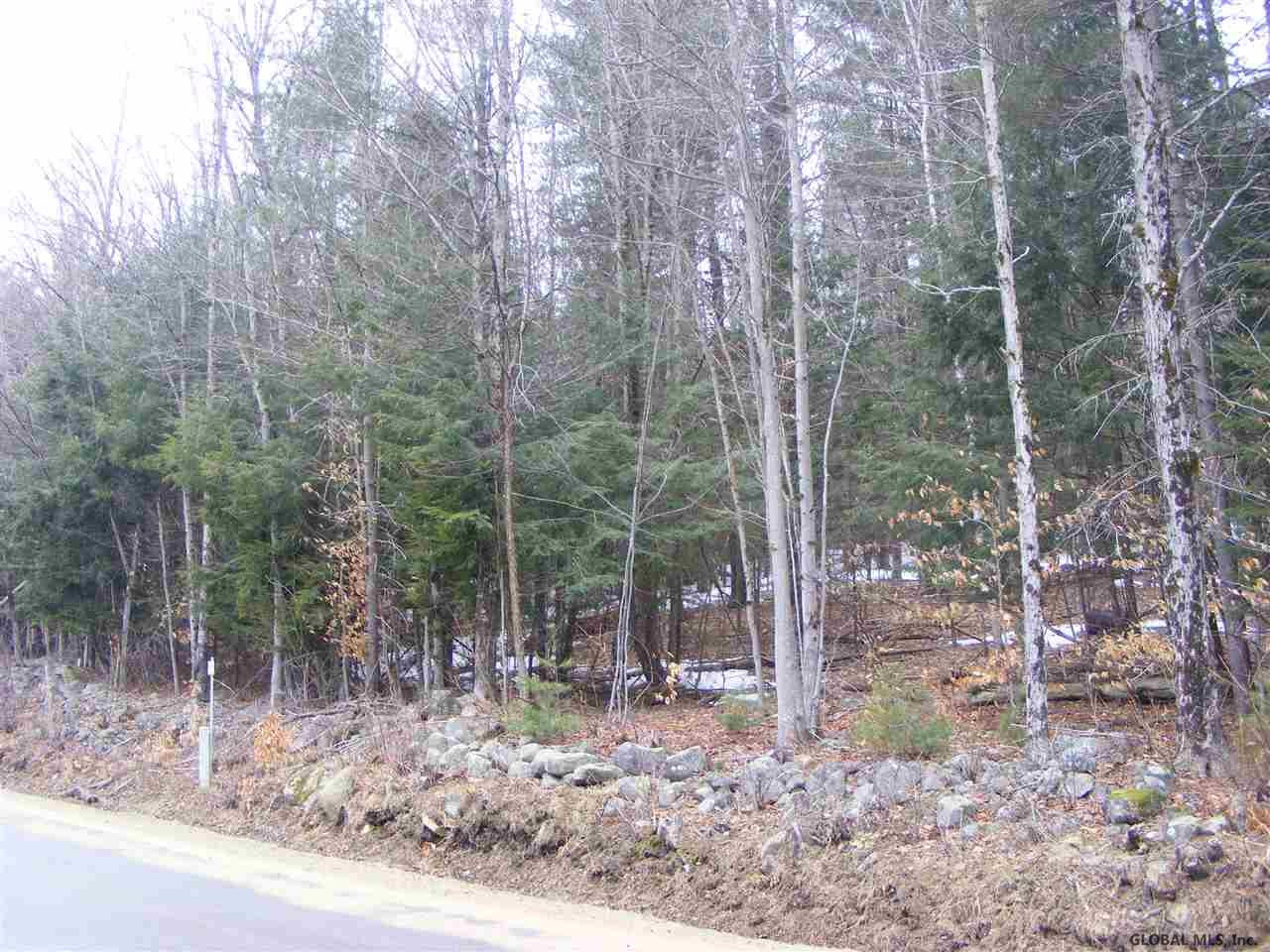 Lawrence Road Hadley, NY 12835 - Photo 7 of 16 Photo 7