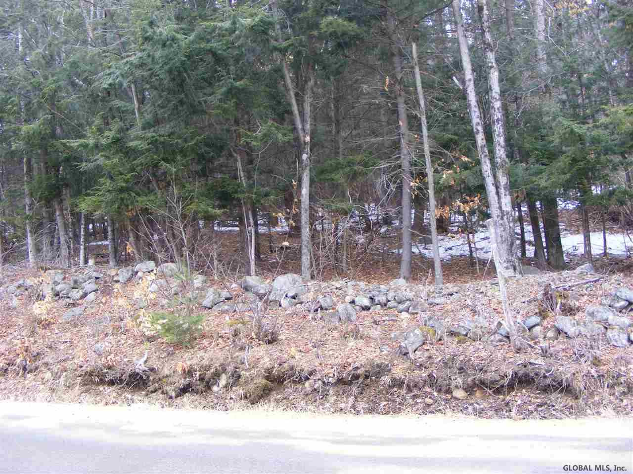 Lawrence Road Hadley, NY 12835 - Photo 8 of 16 Photo 8