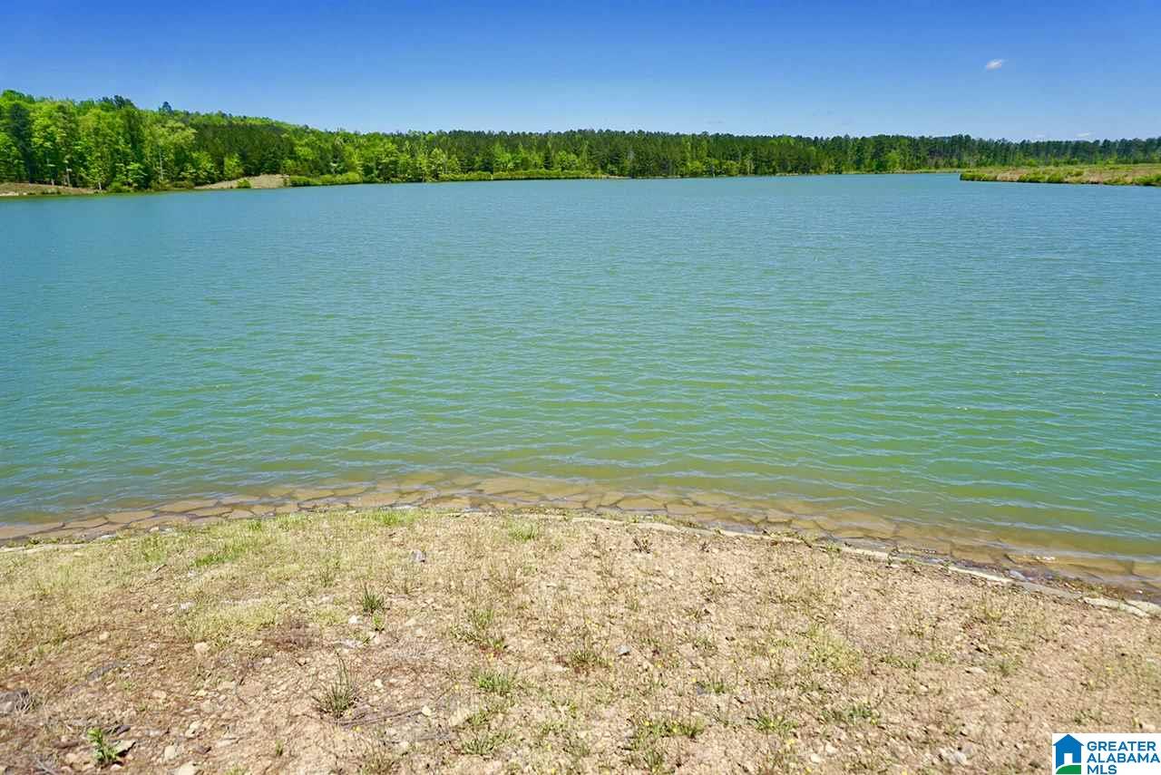Saunders Bridge Road, Unit 24 Sterrett, AL 35147 - Photo 4 of 9 Gallery Image 4