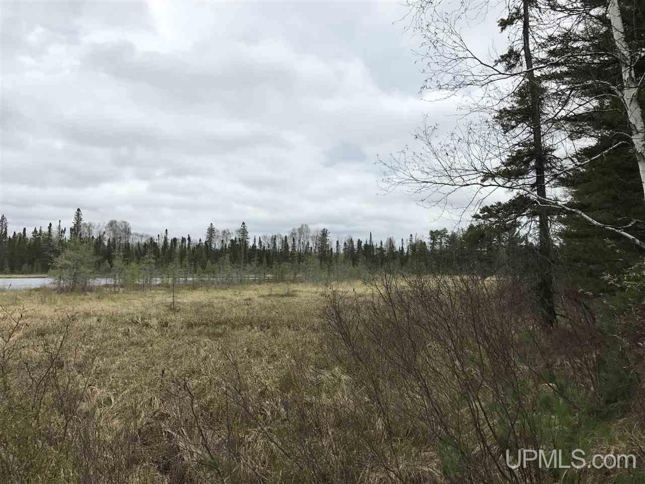 40-ac Kelso Road Crystal Falls, MI 49920 - Photo 7 of 21