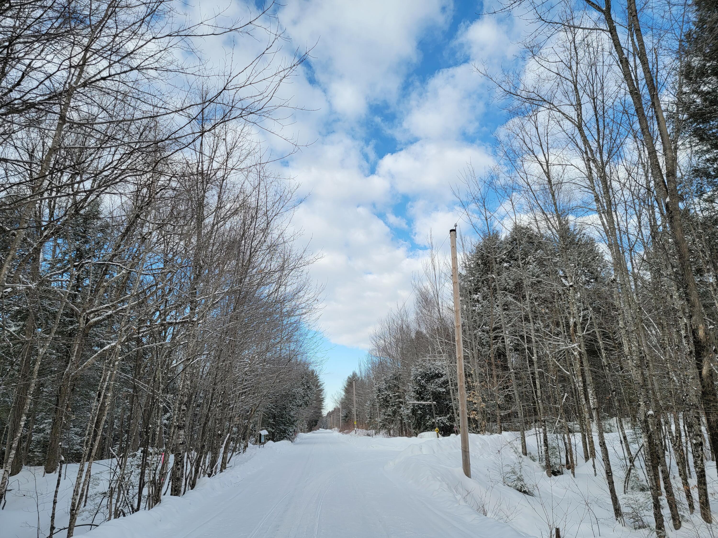 0 Railroadbed Rd Lake View Milo, ME 04463 - Photo 13 of 68 20220125_142316