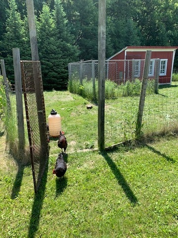 17535 Burr Oak Road Capron, IL 61012 - Photo 36 of 44