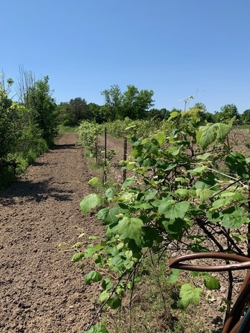 17535 Burr Oak Road Capron, IL 61012 - Photo 41 of 44