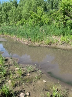 17535 Burr Oak Road Capron, IL 61012 - Photo 42 of 44