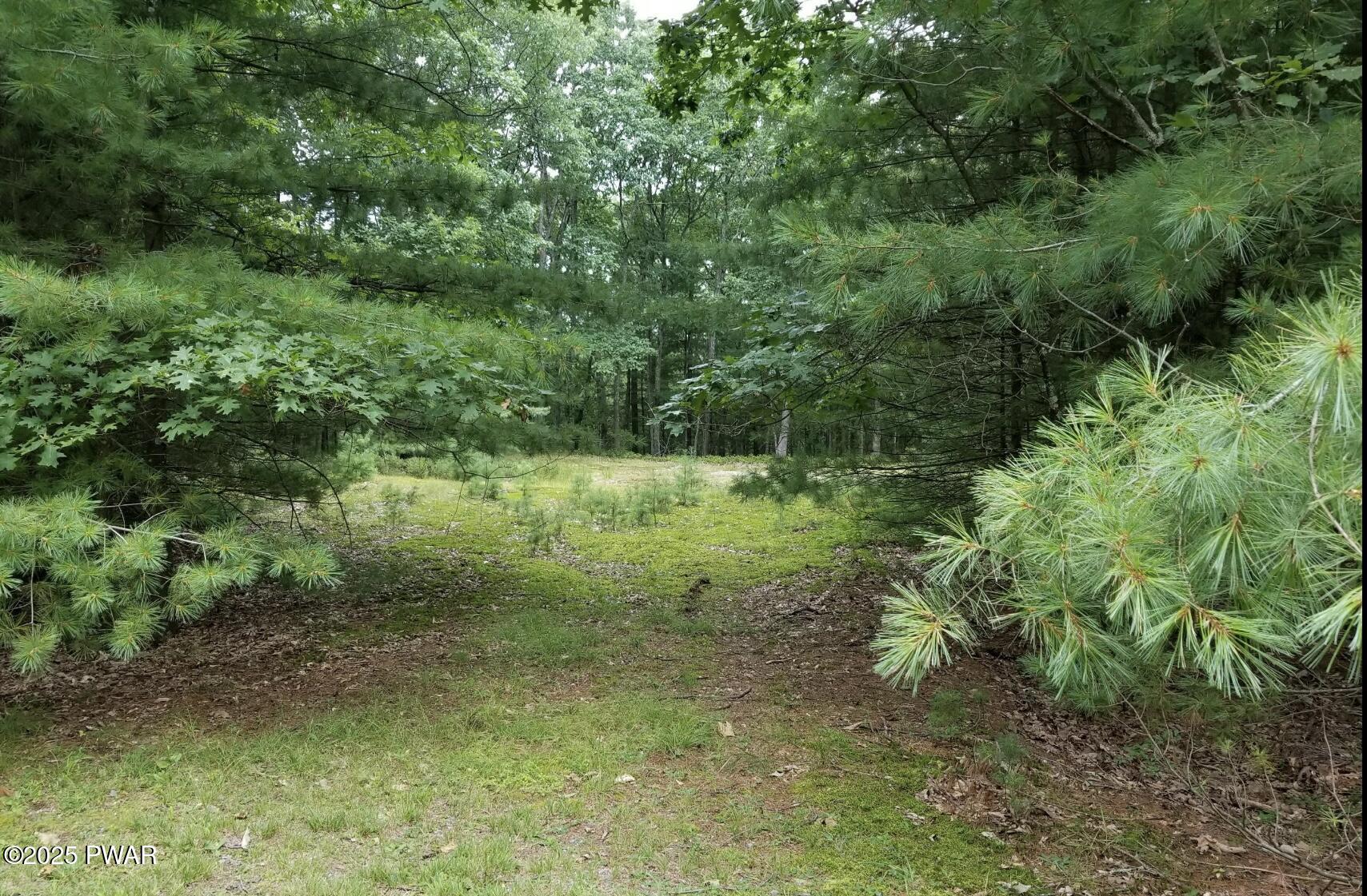 2.84-acres Butchs Road Hawley, PA 18428 - Photo 3 of 5