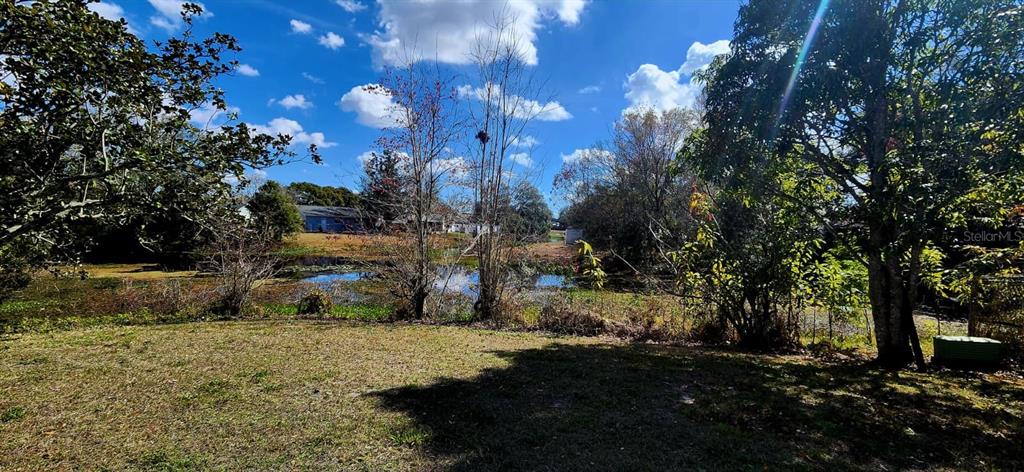 7118 Jenner Avenue New Port Richey, FL 34655 - Photo 12 of 12 a view of street