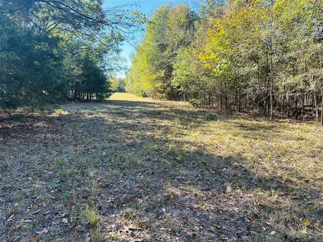 a view of a yard with large trees