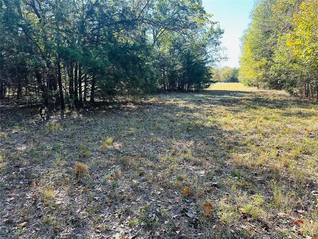 a view of outdoor space with trees