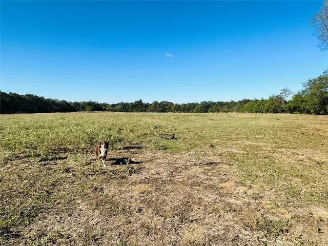 a view of an ocean with a mountain