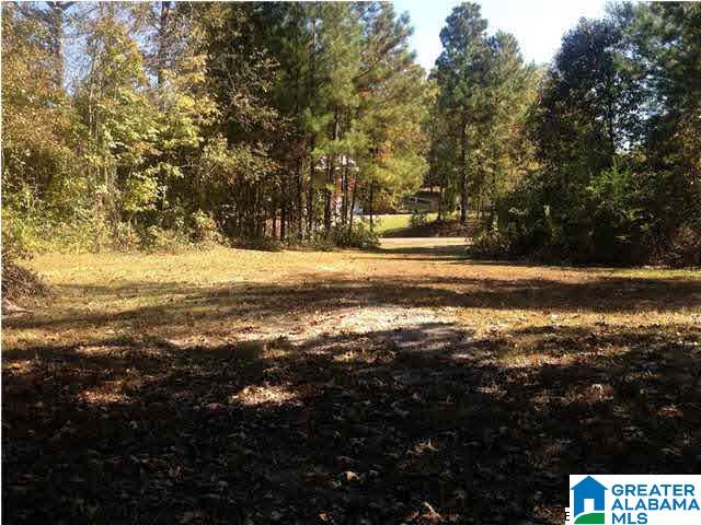 1156 Mountain Lake Road Warrior, AL 35180 - Photo 16 of 26