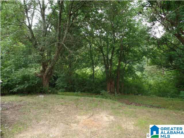 3070 Happy Top Road Morris, AL 35116 - Photo 12 of 12