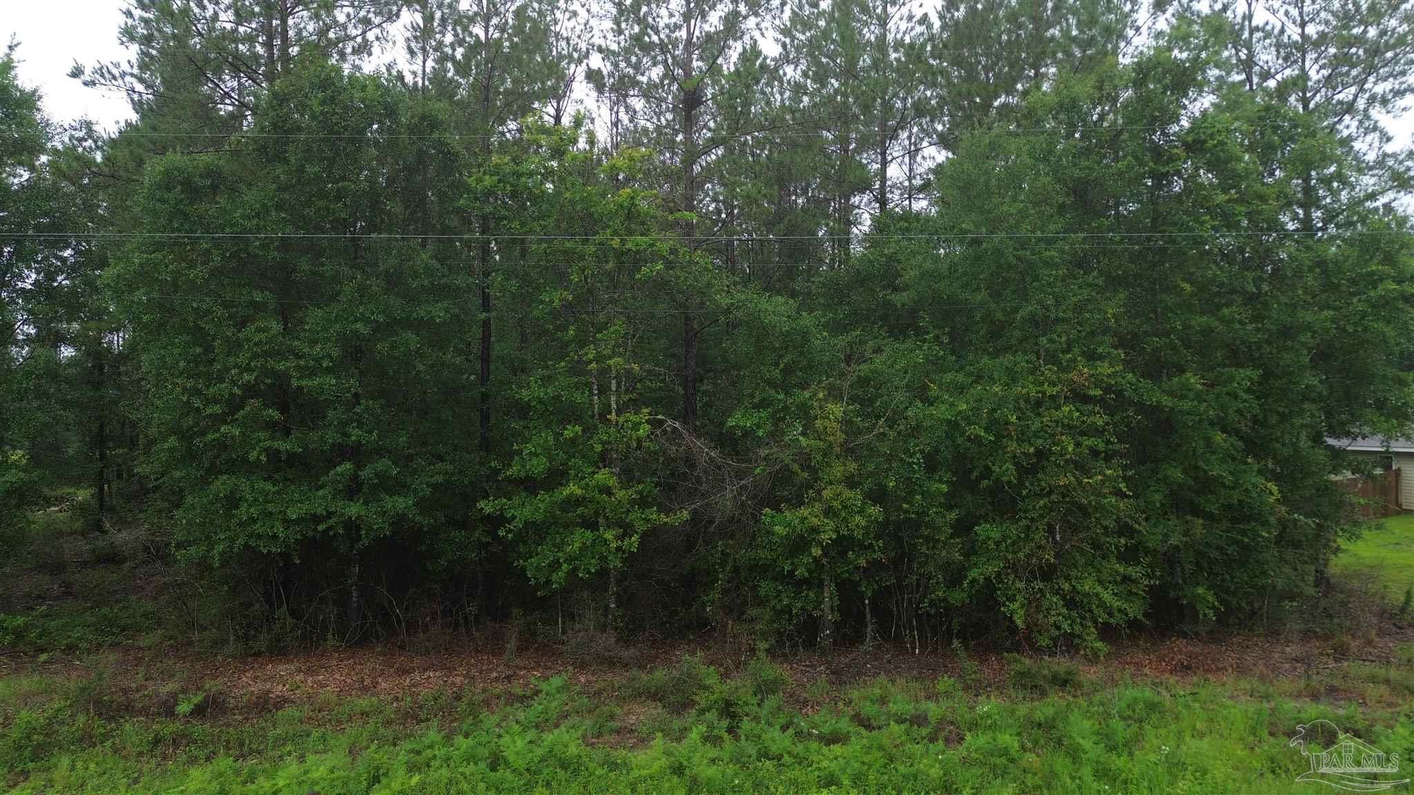Lot 86 Pineview Church Road Jay, FL 32565 - Photo 3 of 6
