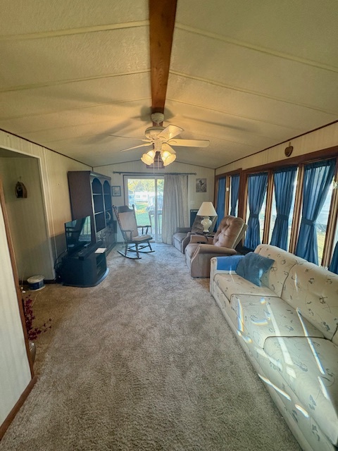 4-20 Woodhaven Sublette, IL 61367 - Photo 15 of 26 a living room with furniture and a chandelier