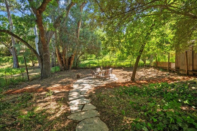 a view of a tree in the middle of a yard