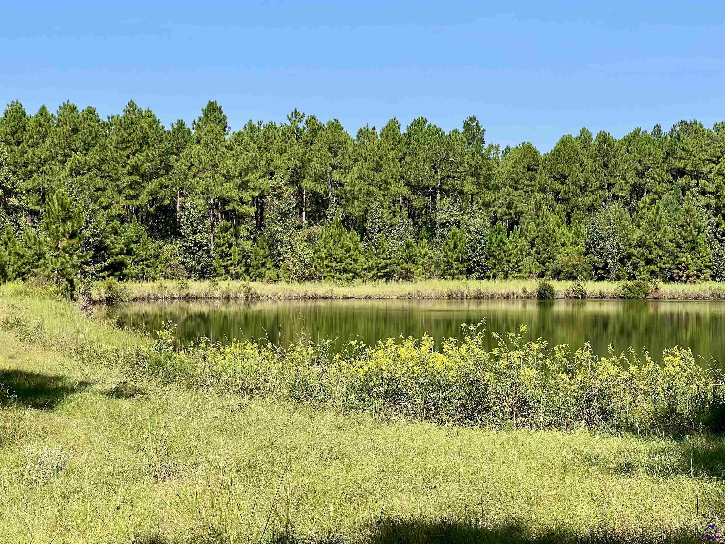 762 Nicholson-Carr Road Chester, GA 31012 - Photo 70 of 81