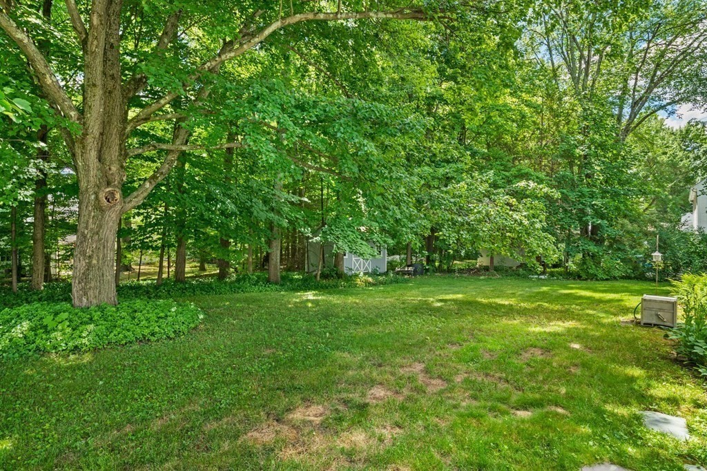 1559 Plumtree Road Springfield, MA 01119 - Photo 35 of 41
