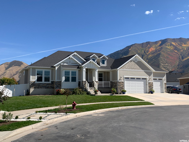 Front View/Mountain Background