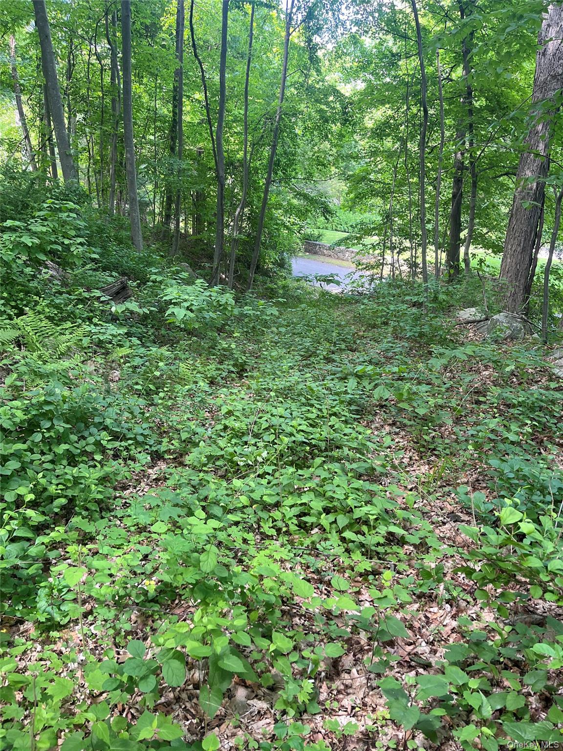 Old Church Road Putnam Valley, NY 10579 - Photo 2 of 26 a view of outdoor space and green space