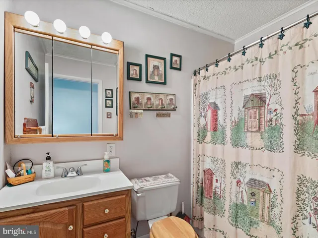 a bathroom with a sink vanity mirror and toilet