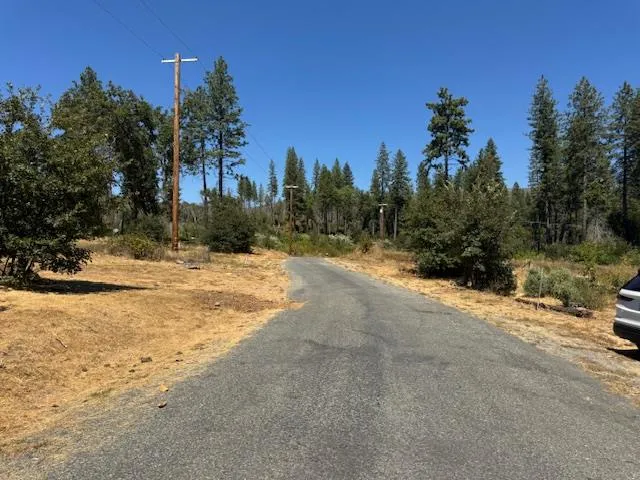 a view of a yard with a house