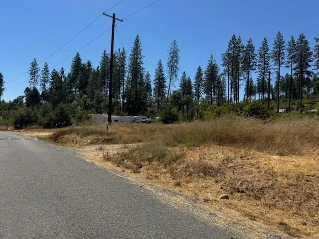 a view of a field with trees in the background