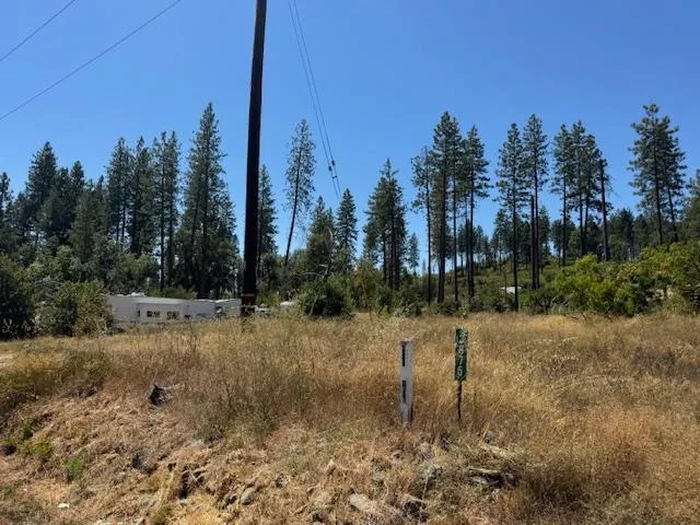 a view of a yard with trees in the background