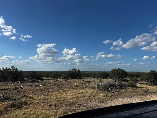 a view of a town with trees
