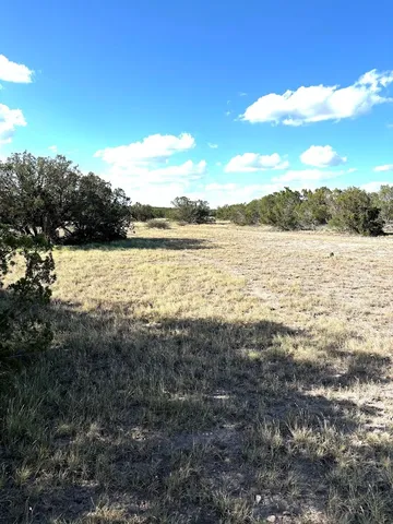 a view of a back yard