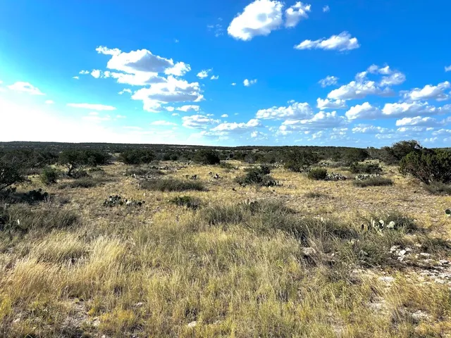 $445,000 | 2728 East High Lonesome Road, Comstock, TX 78837