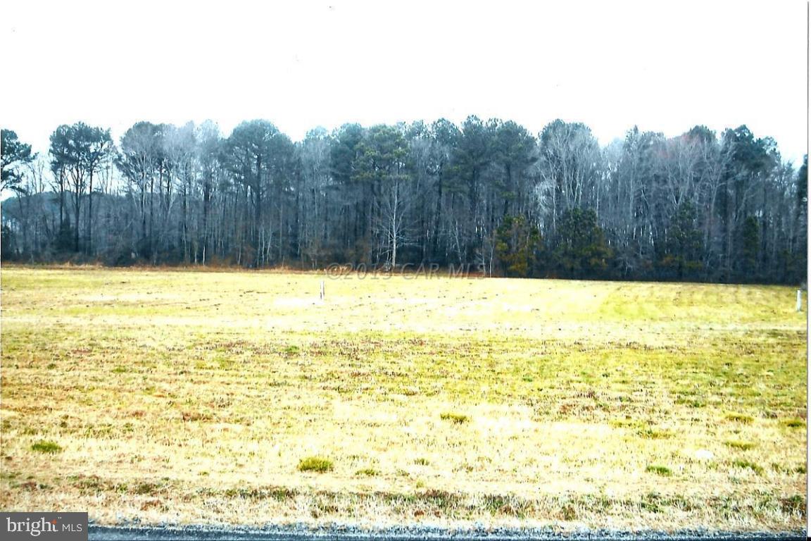 0 Bird Hill Road Stockton, MD 21864 - Photo 3 of 3