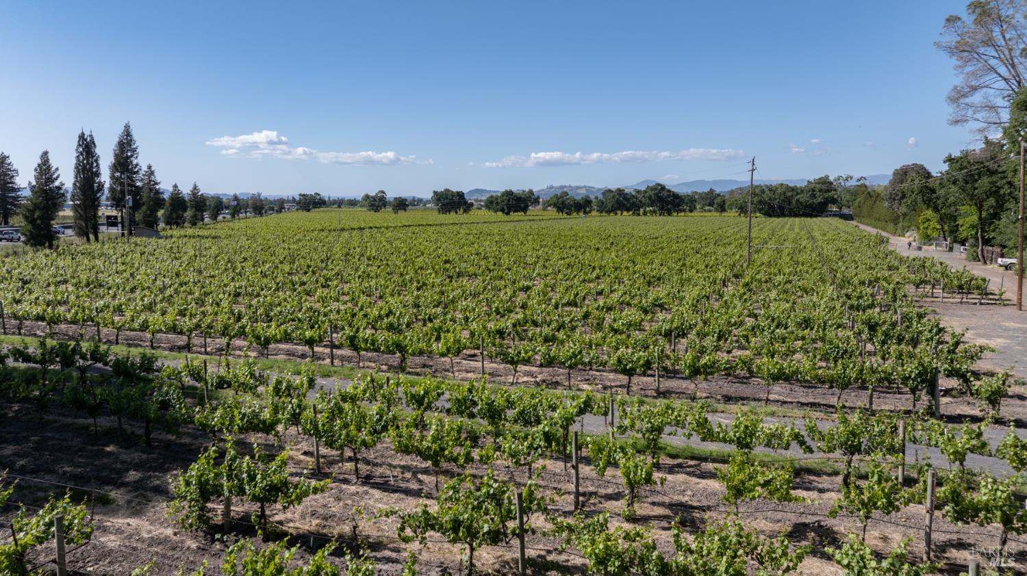 500 Mark West Station Road Windsor, CA 95492 - Photo 4 of 27 a view of a city