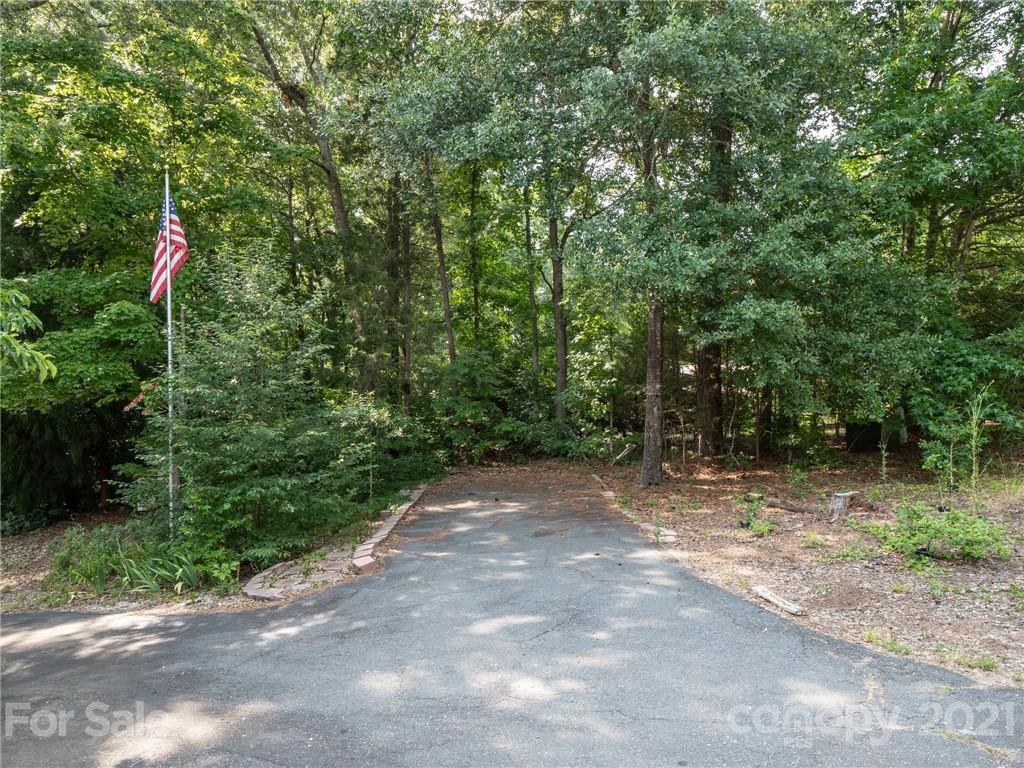 9141 Sunrise Meadow Road Fort Mill, SC 29715 - Photo 34 of 45 a view of a forest with trees