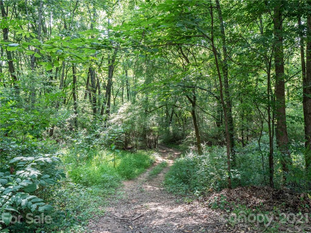 9141 Sunrise Meadow Road Fort Mill, SC 29715 - Photo 37 of 45 a view of a lush green forest