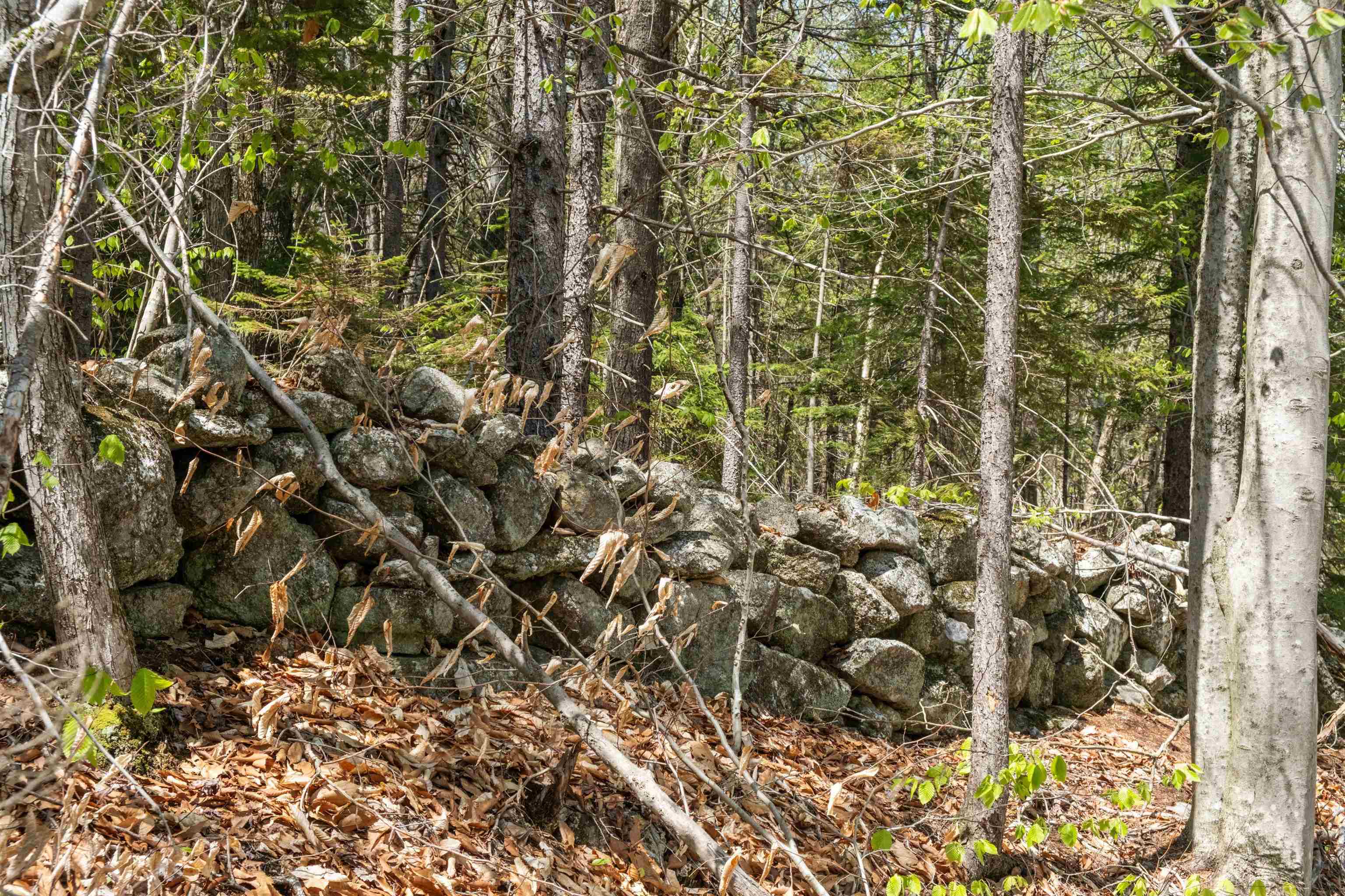 Kinsman Road Grafton, NH 03240 - Photo 6 of 15 Gallery Image 6