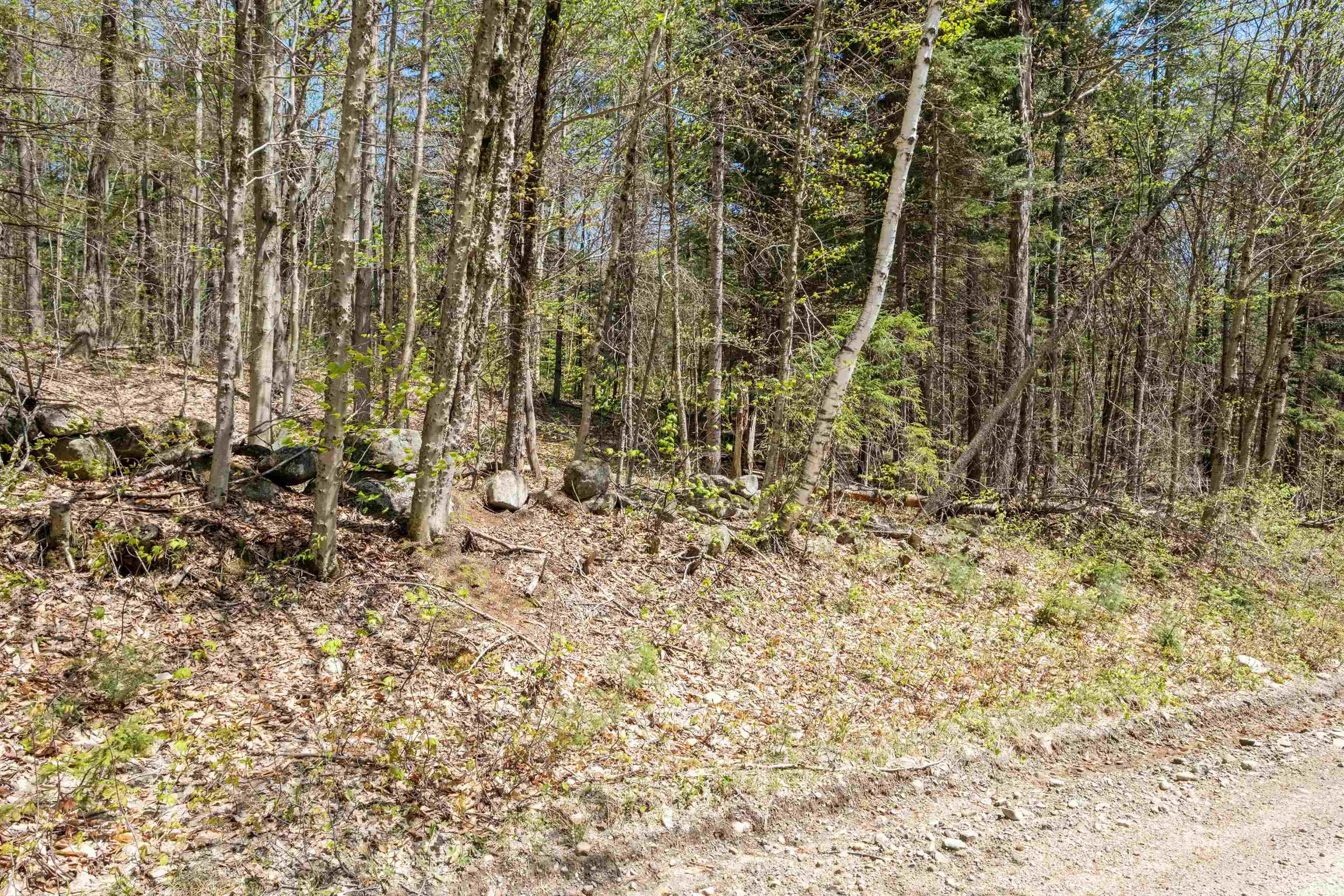 Kinsman Road Grafton, NH 03240 - Photo 8 of 15 Gallery Image 8