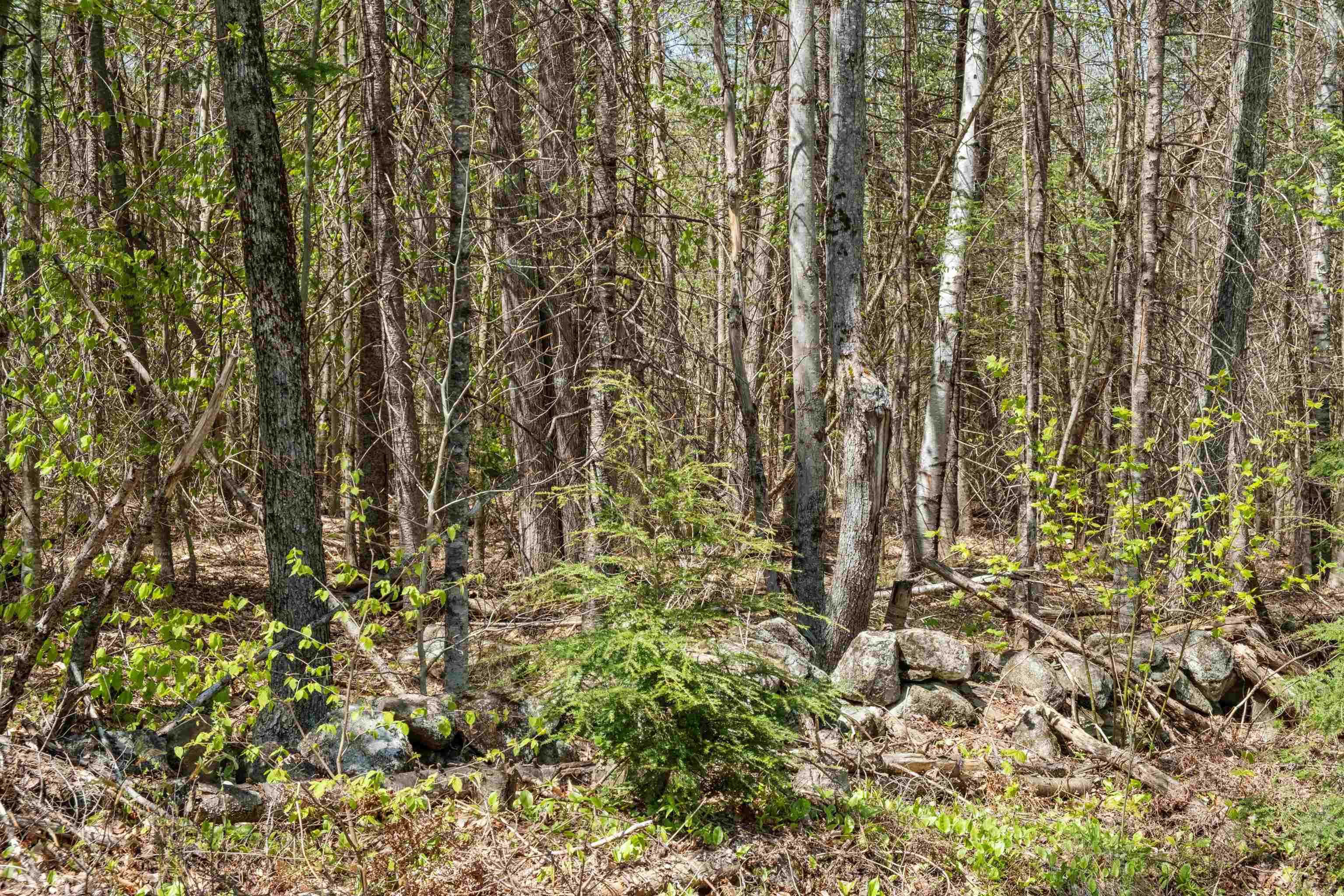 Kinsman Road Grafton, NH 03240 - Photo 10 of 15 Gallery Image 10