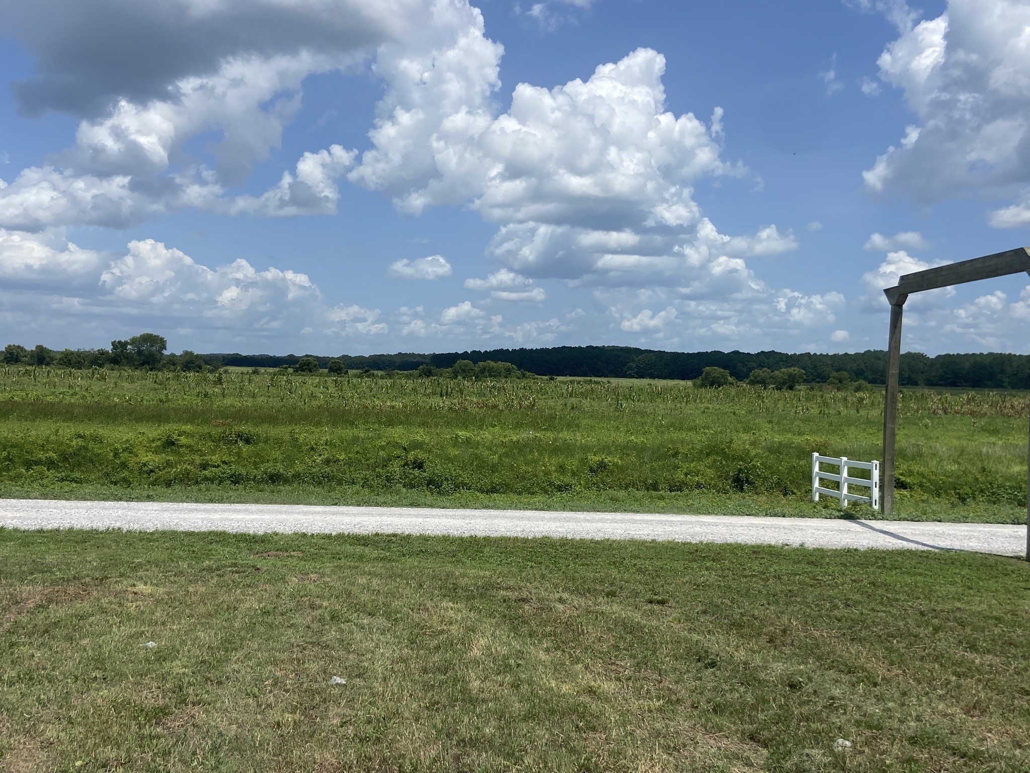 1627 Hardin Bottom River Road Clifton, TN 38425 - Photo 14 of 23