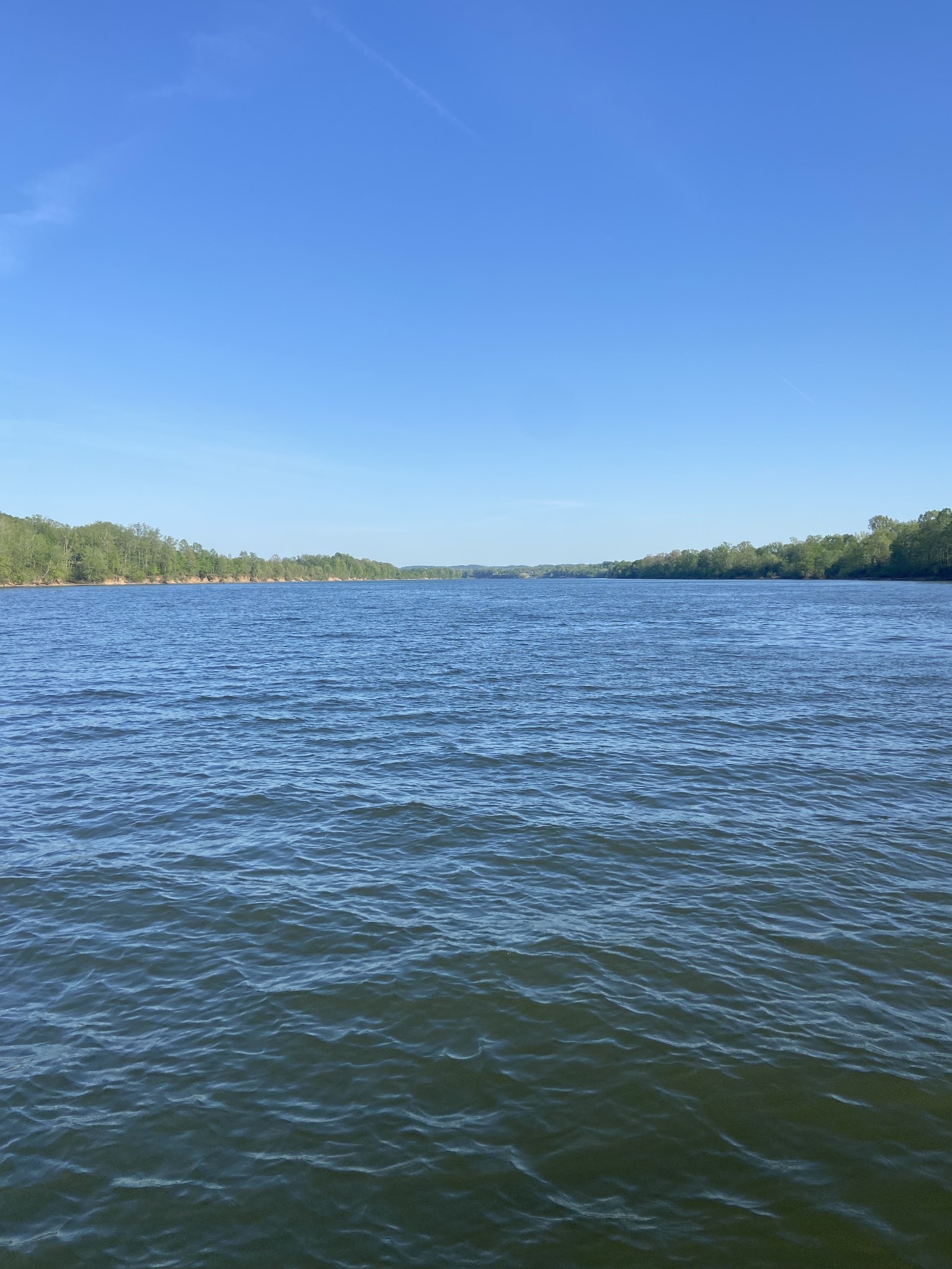 1627 Hardin Bottom River Road Clifton, TN 38425 - Photo 22 of 23