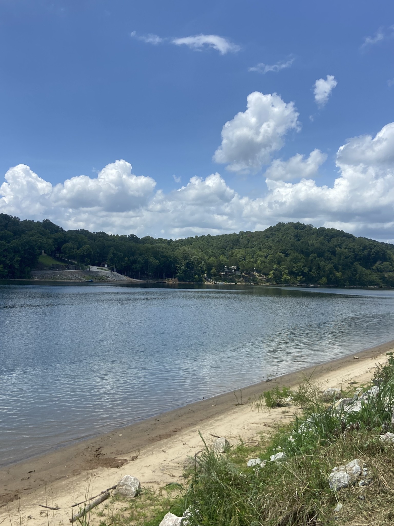 1627 Hardin Bottom River Road Clifton, TN 38425 - Photo 9 of 23