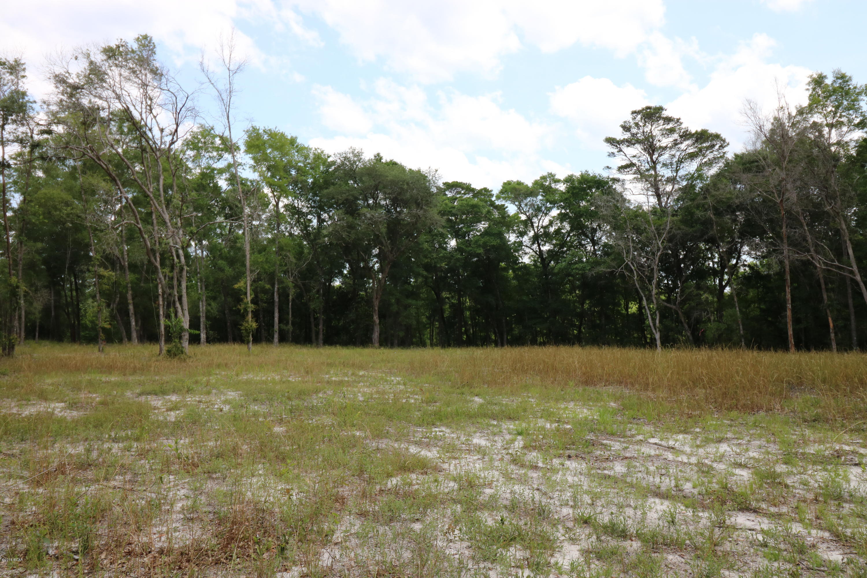 251 Ramsey Br Road Freeport, FL 32439 - Photo 12 of 25 Gallery Image 12