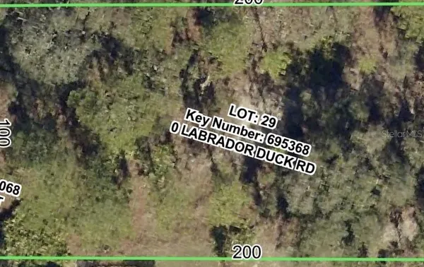 $65,000 | Labrador Duck Road, Weeki Wachee, FL 34614