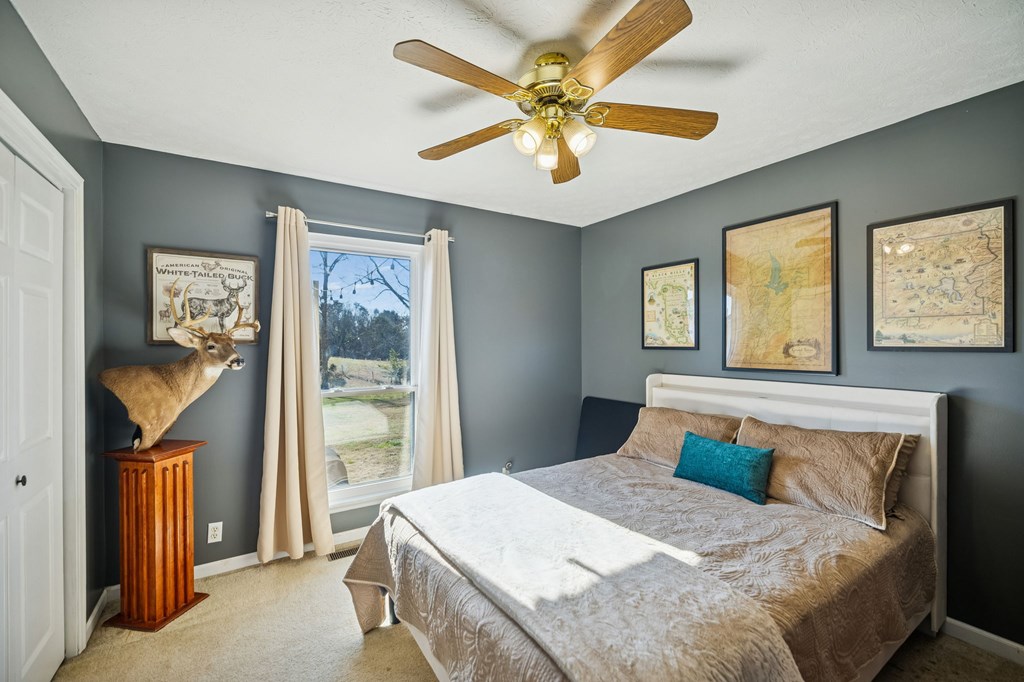 875 Old Stage Road Spring City, TN 37381 - Photo 30 of 71 Gallery Image 30