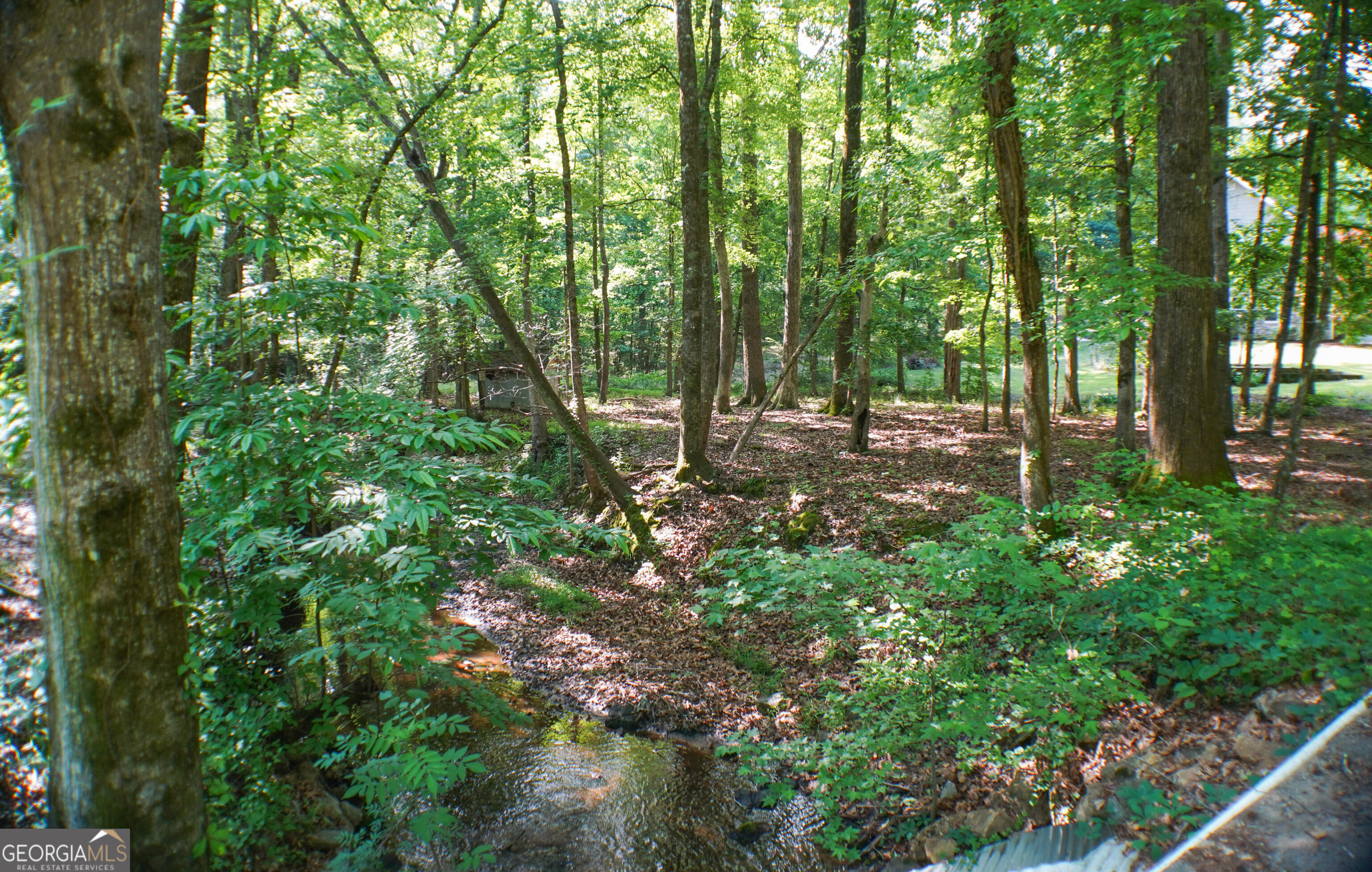 335 Winding Stream Trail Hampton, GA 30228 - Photo 33 of 35 a backyard of a house with lots of green space