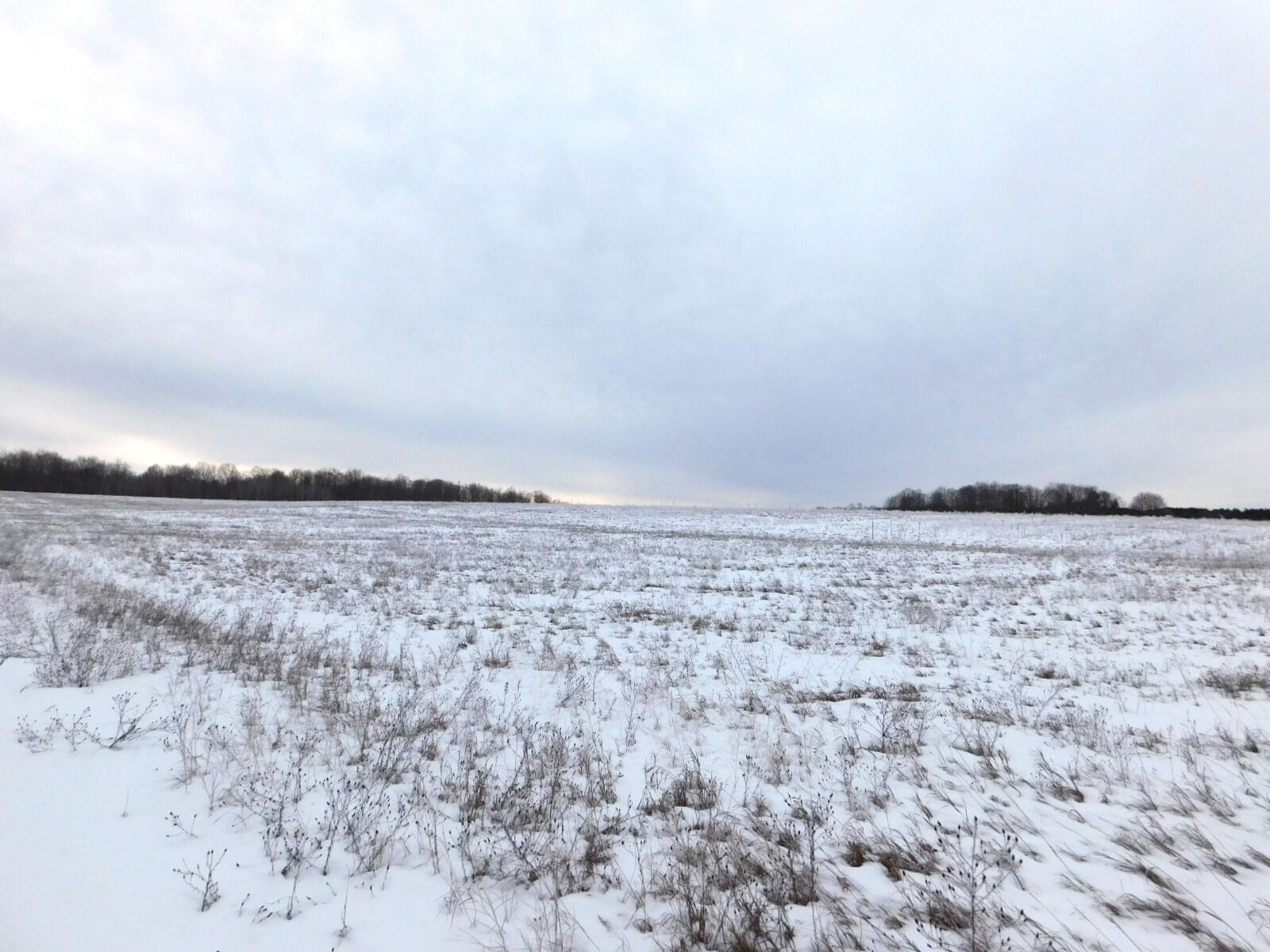 West Marker Road Grayling, MI 49738 - Photo 5 of 16 Gallery Image 5