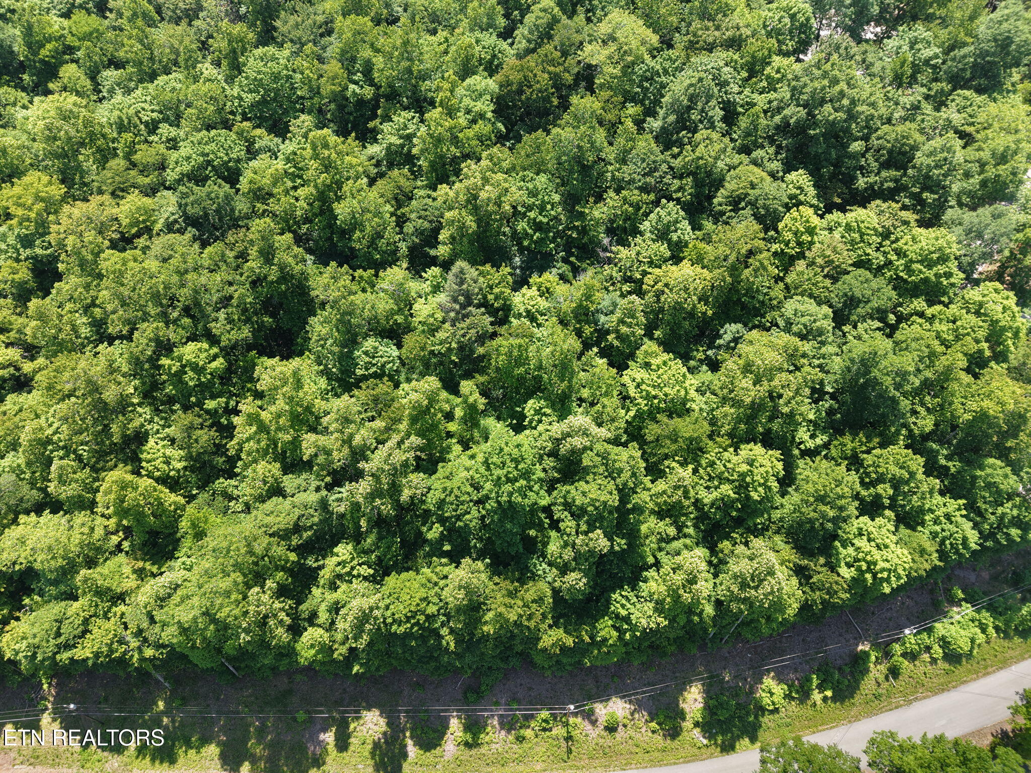 Yoakum Hollow Road Jacksboro, TN 37757 - Photo 8 of 17 5-web-or-mls-DJI_20260518131322_0009_D