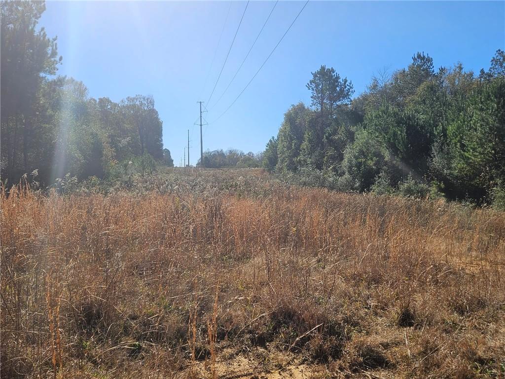 0 Perry Erwin Road Franklinton, LA 70438 - Photo 11 of 29