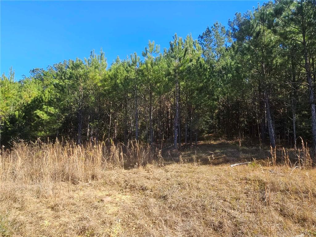 0 Perry Erwin Road Franklinton, LA 70438 - Photo 12 of 29